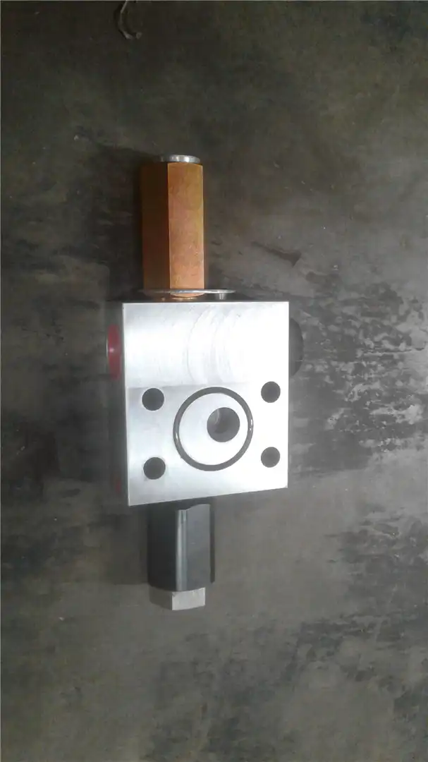NEW HOLDING VALVE indicator image 1