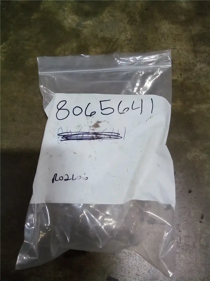 NEW BEARING image 2