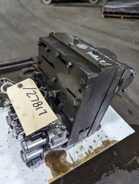 Manifold image