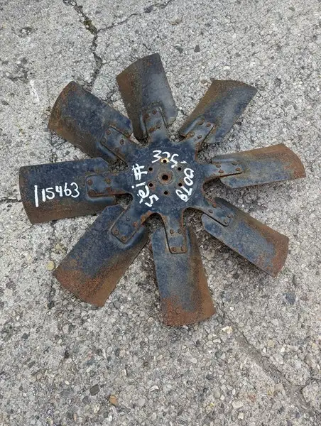 Spider image