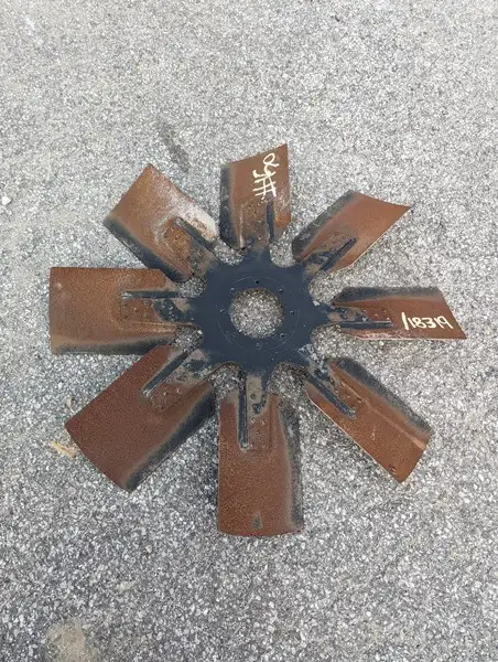 Spider AS image