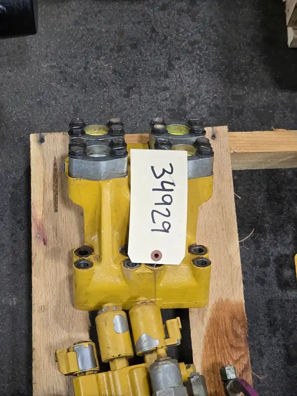 Manifold image