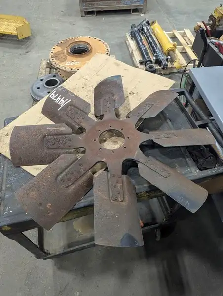 Fan Spider image