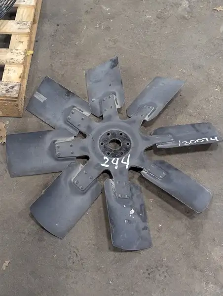 Spider Asfan image