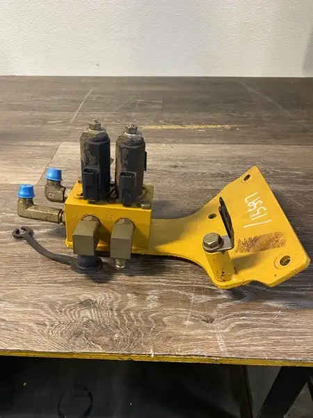 Manifold image