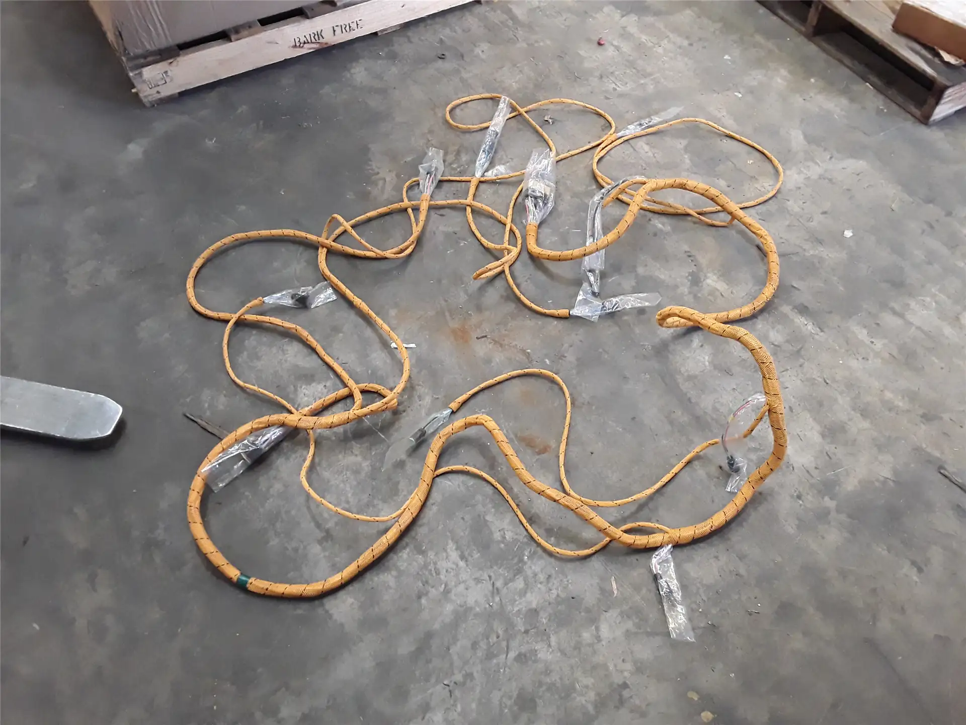 NEW HARNESS AS image