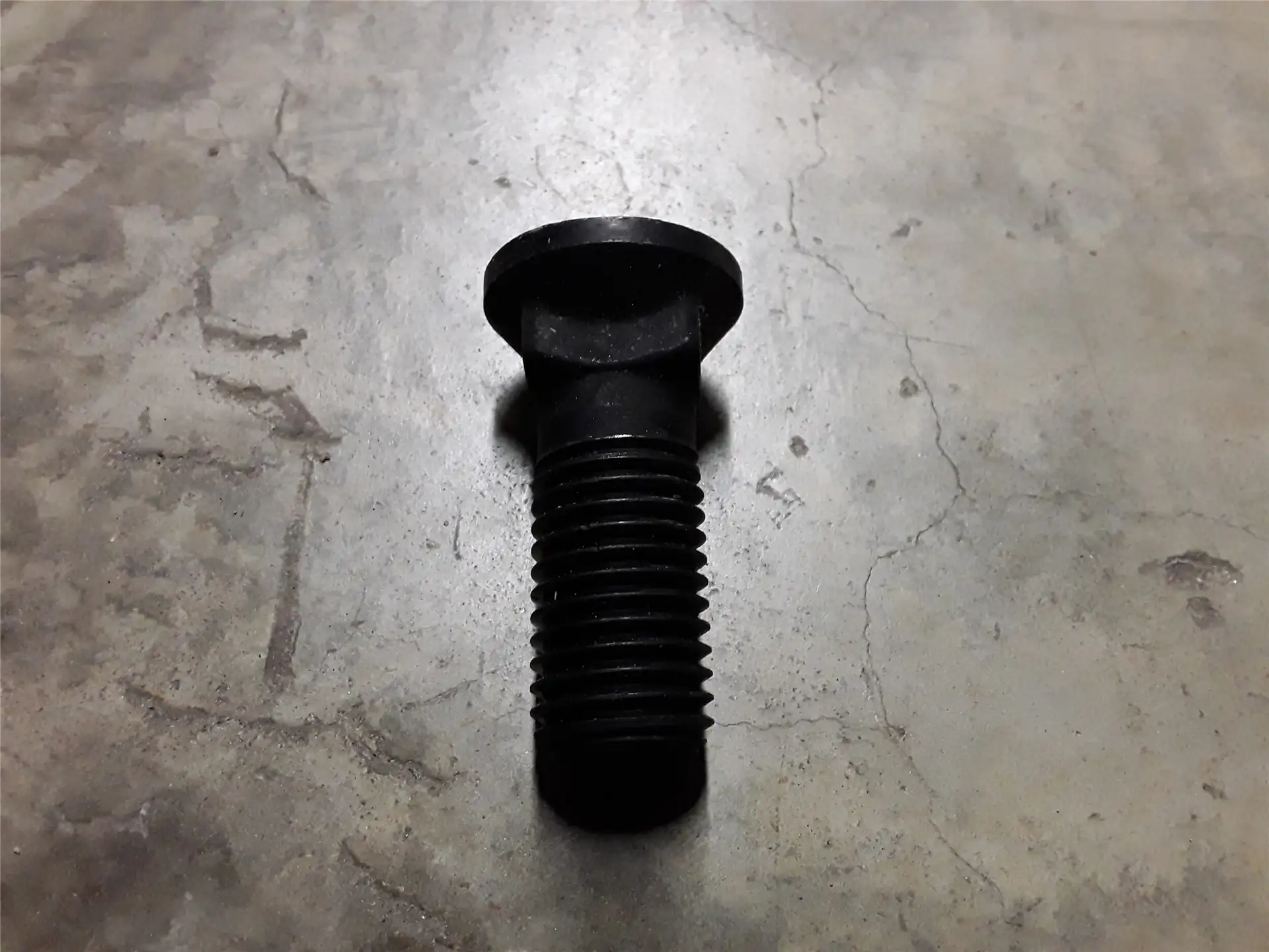 NEW BOLT image
