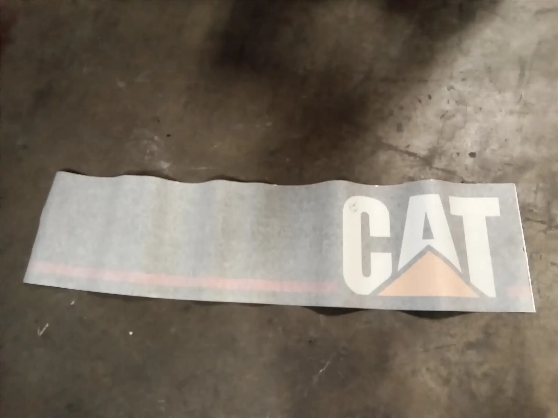 NEW FILM CAT image
