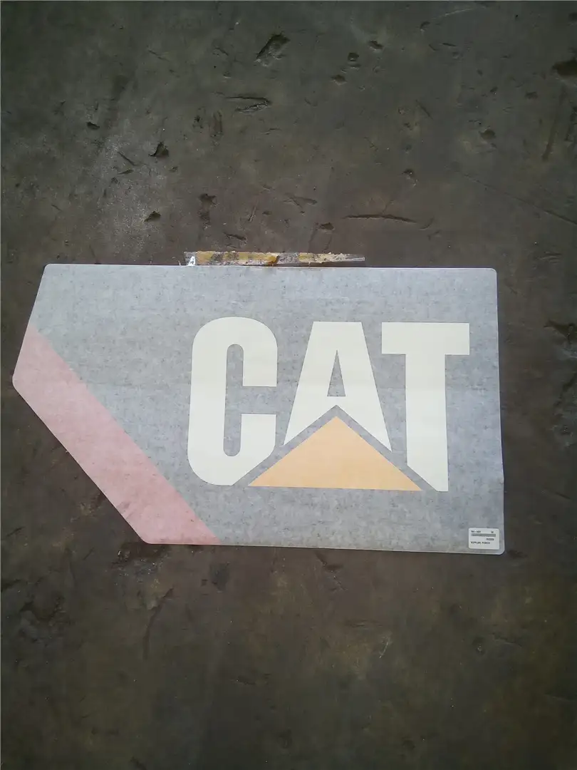 NEW RH CAT FILM image
