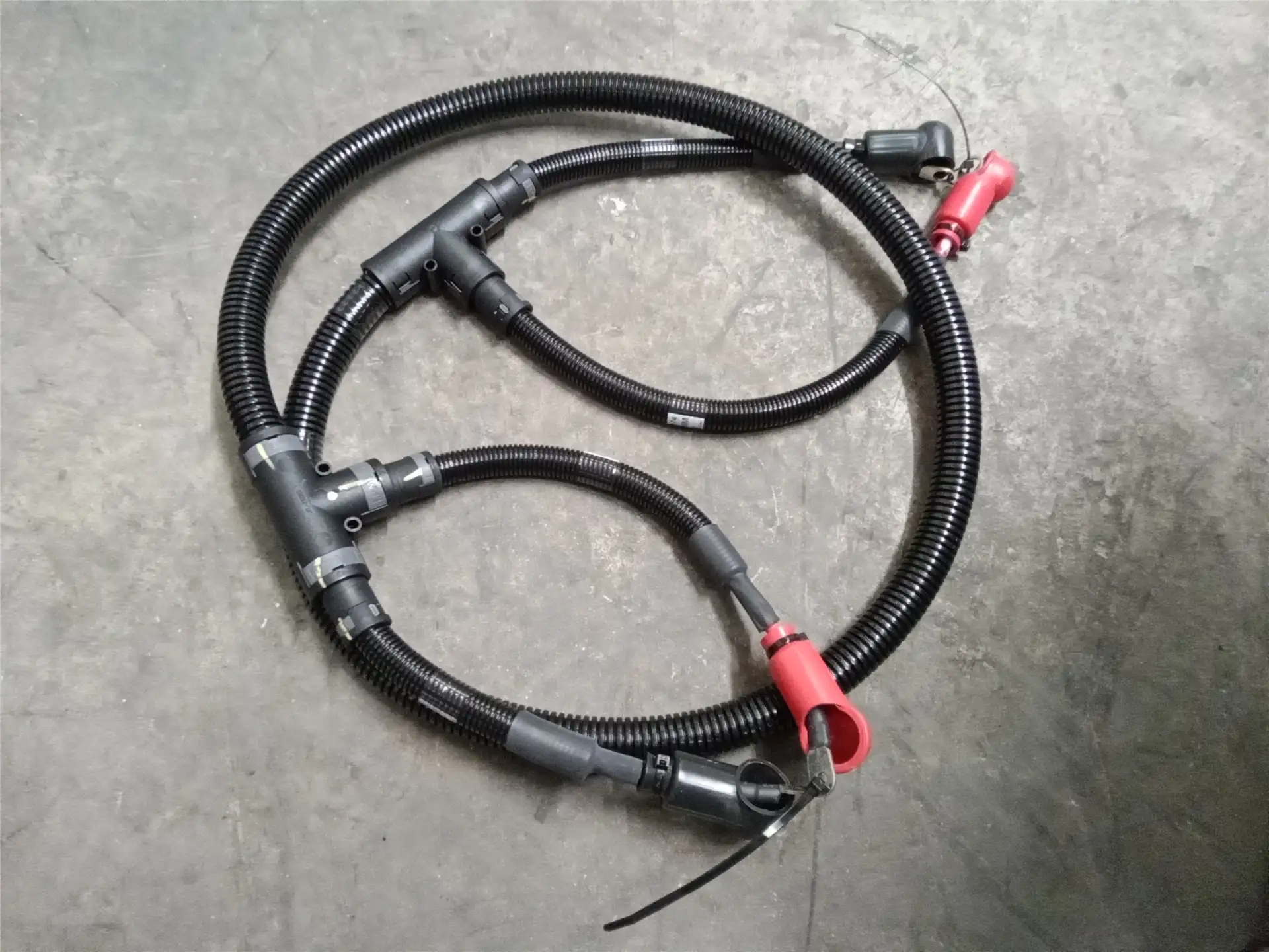 NEW HARNESS image