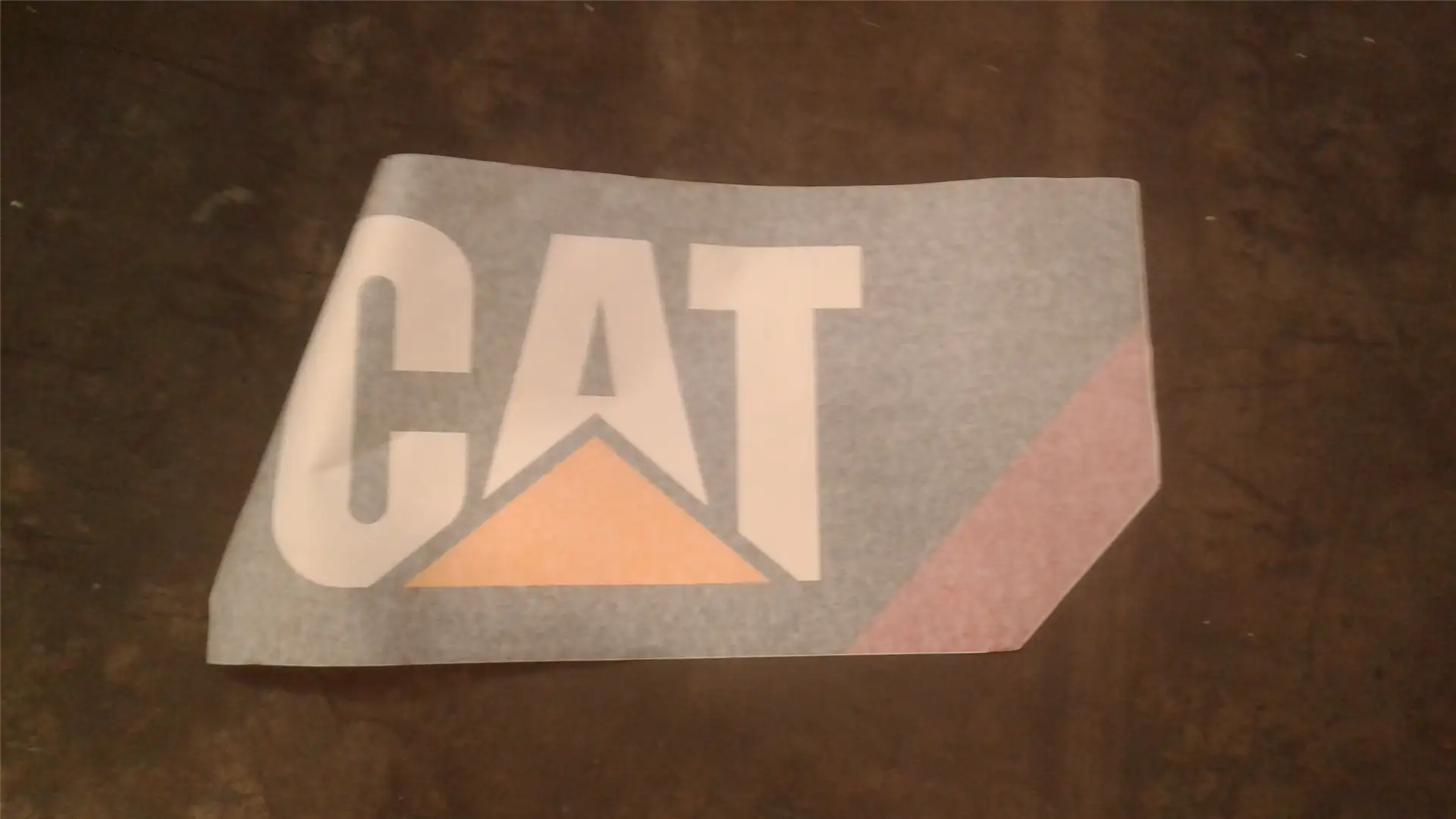 NEW FILM CAT image