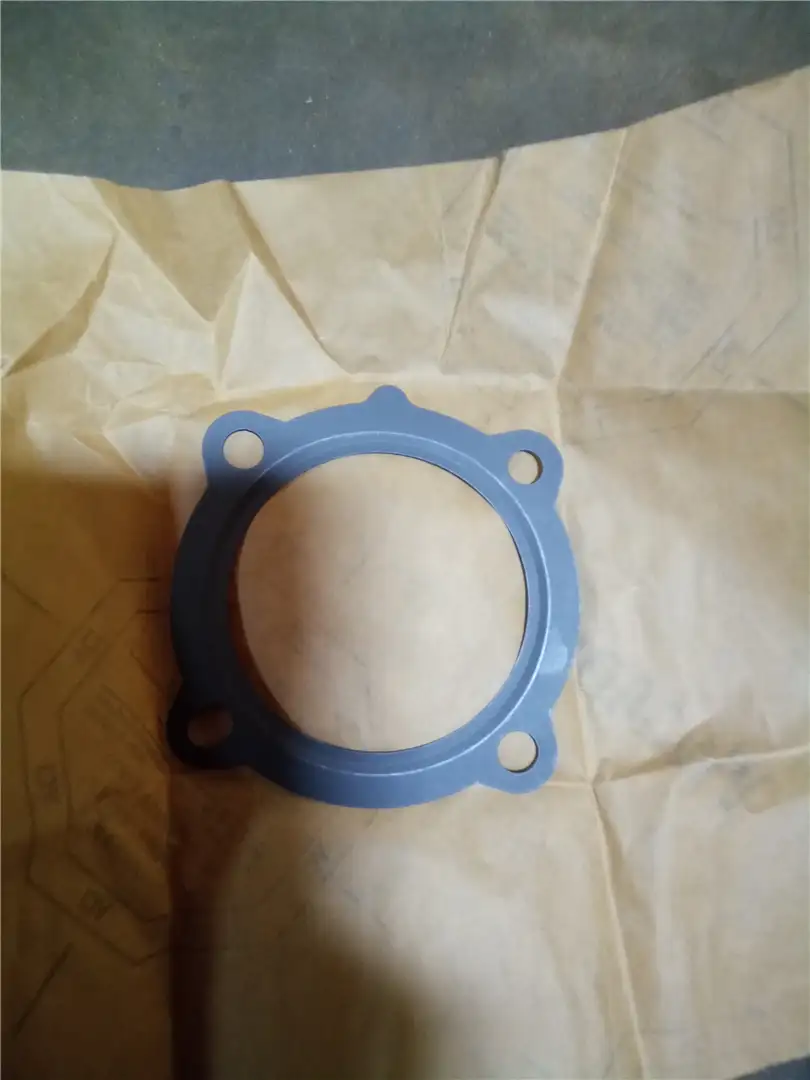 NEW VALVE GASKET image