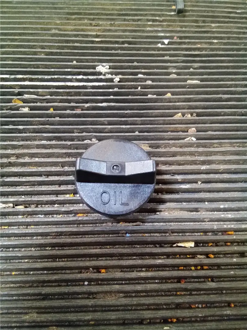 NEW PLUG image
