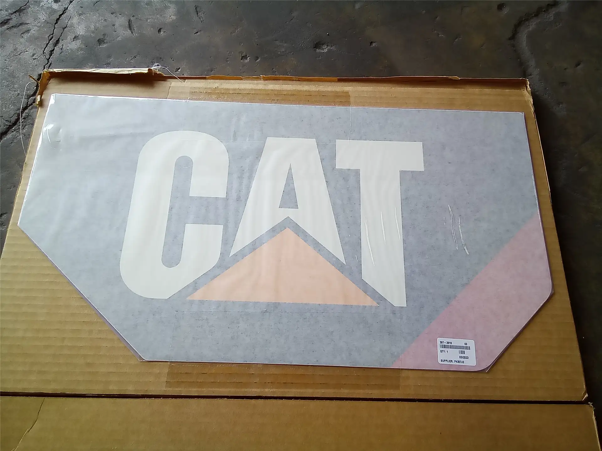 NEW CAT FILM image