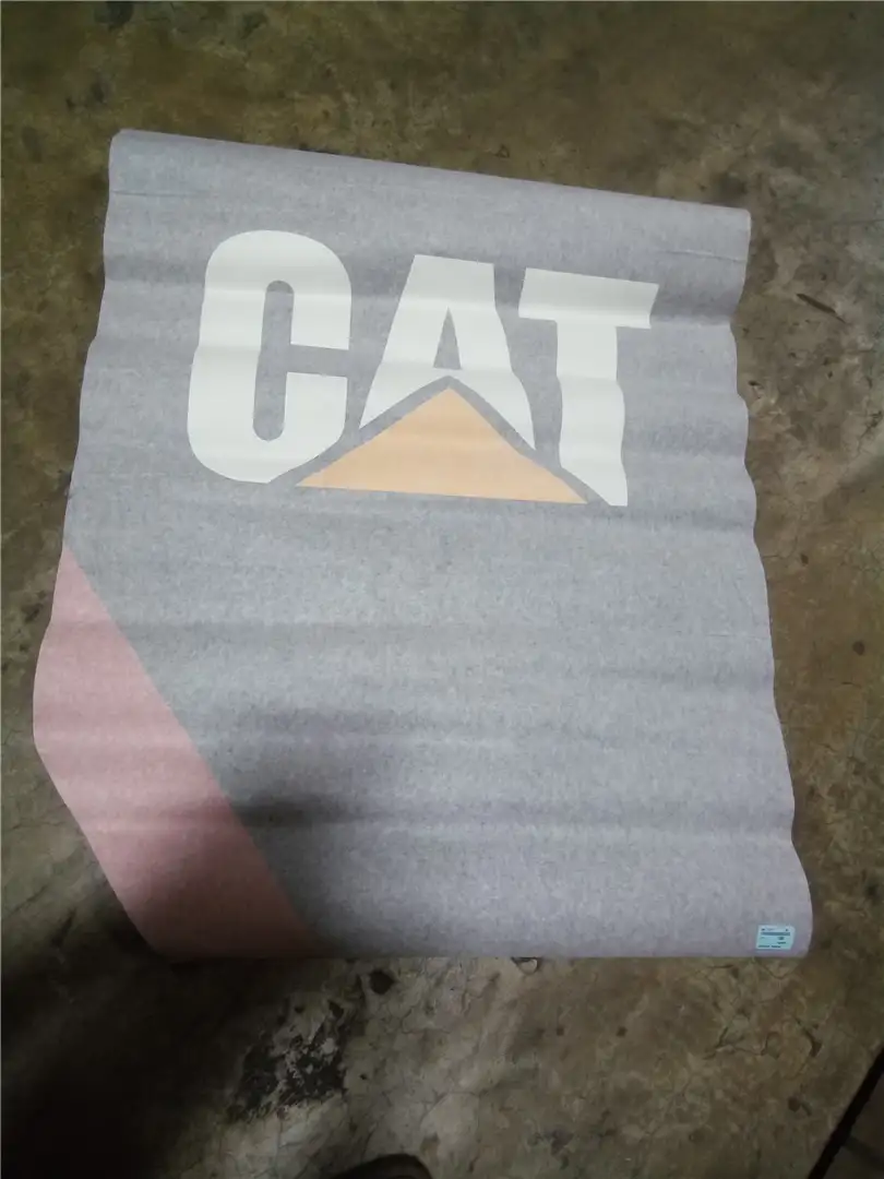 NEW RH CAT FILM image