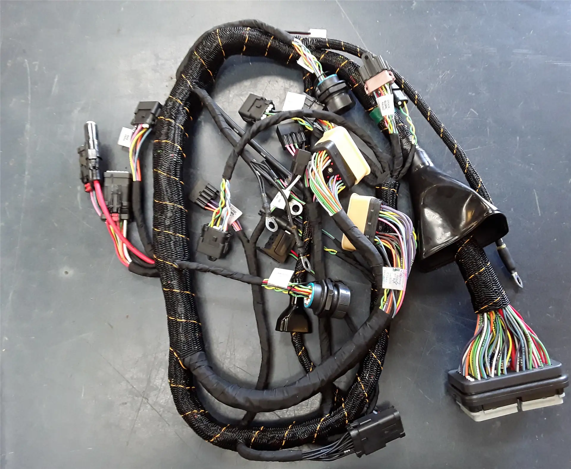 NEW HARNESS image
