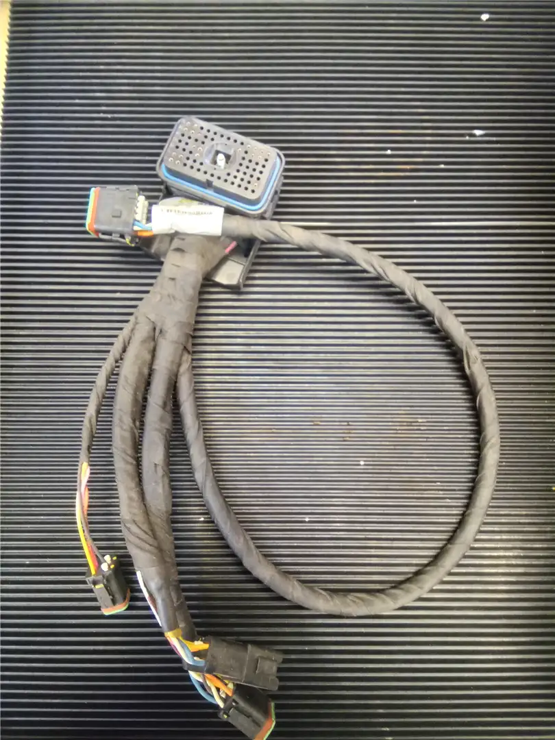 NEW HARNESS image
