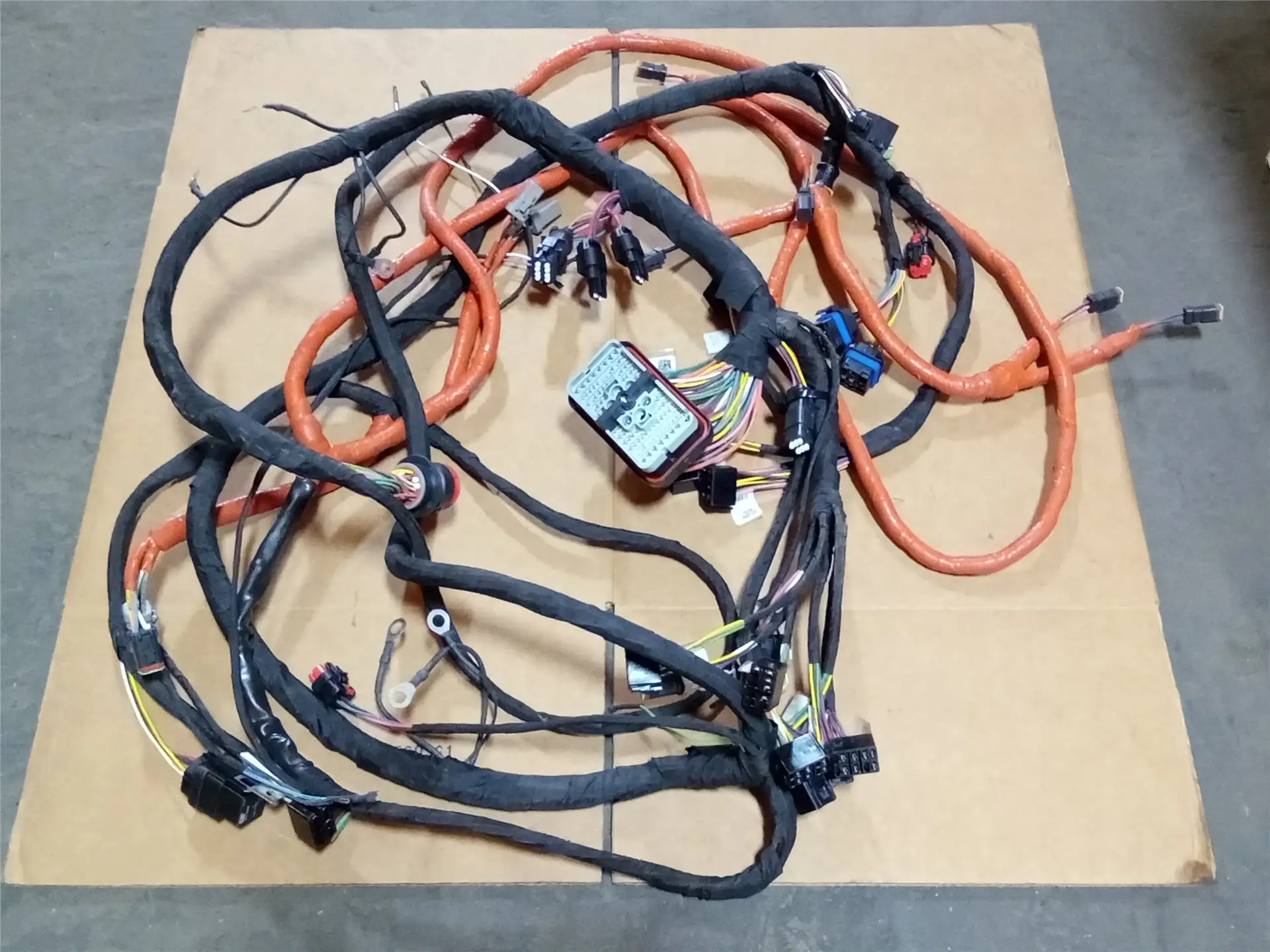 NEW HARNESS image