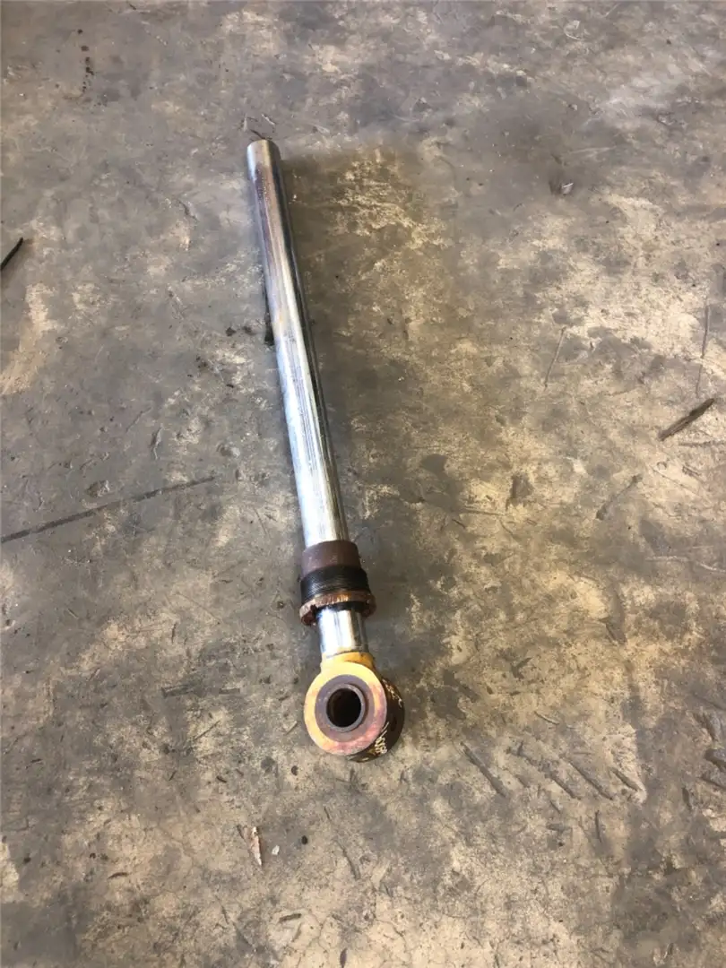 ROD AS image