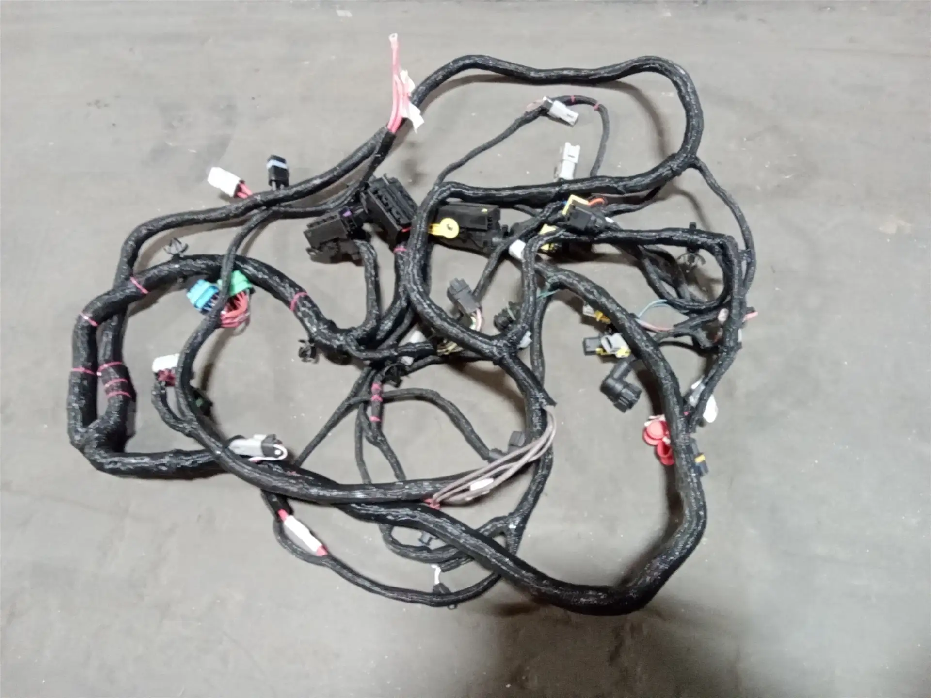 NEW HARNESS image
