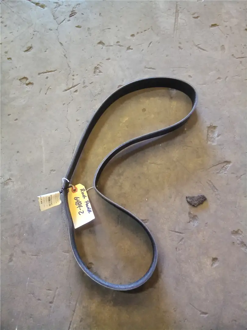 NEW BELT image