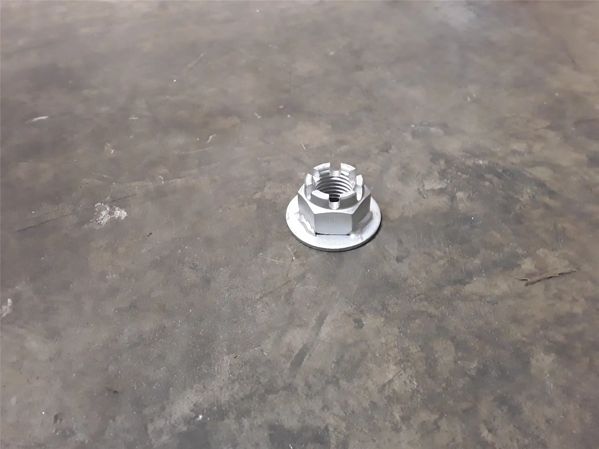 NEW NUT image