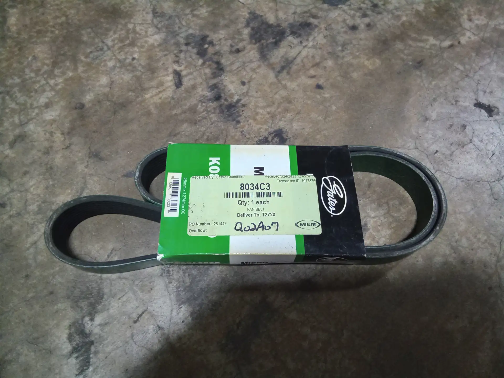 NEW FAN BELT image