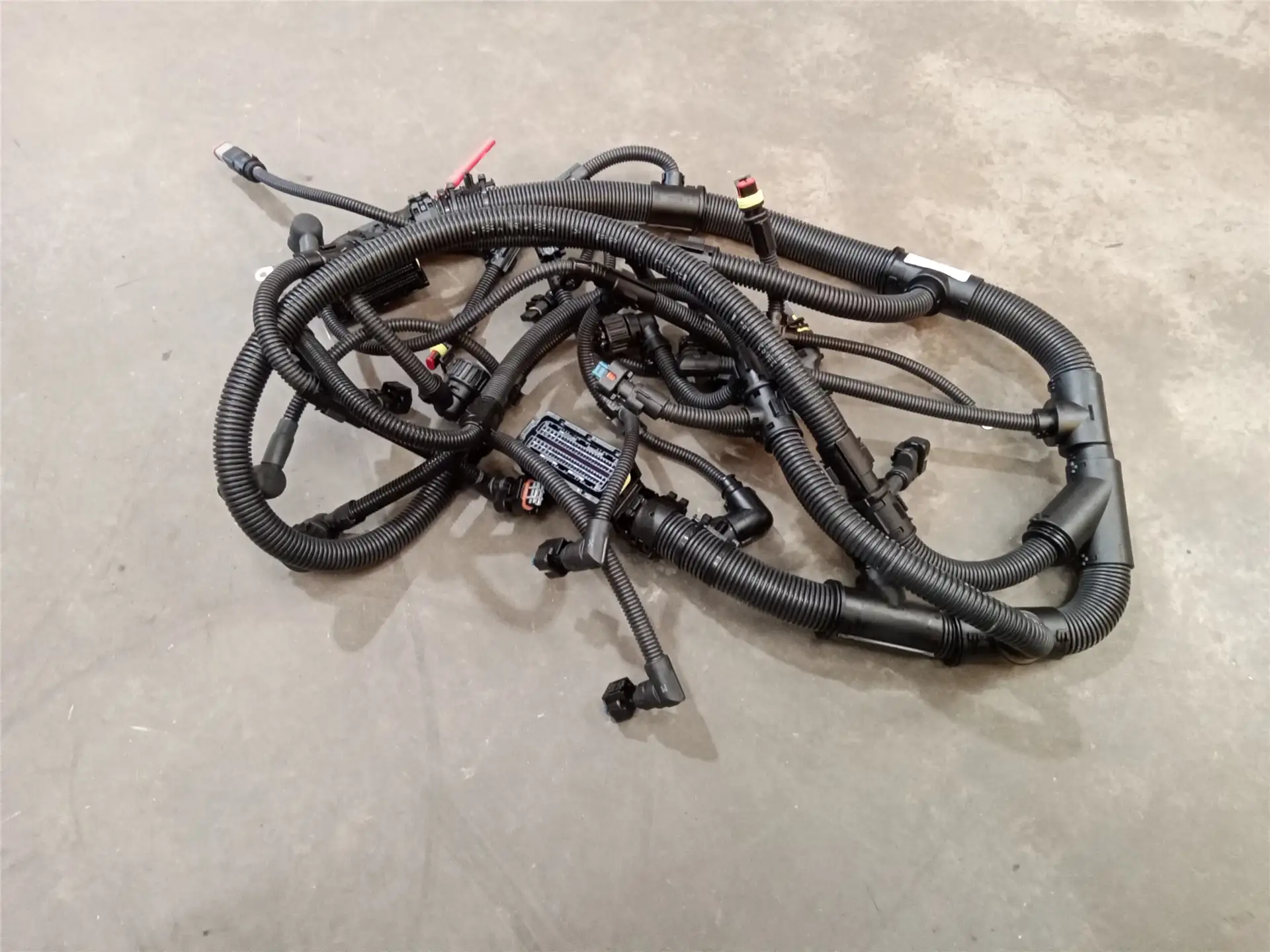 NEW HARNESS image