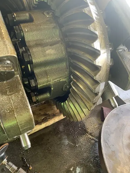Gear Gp-diff image 1