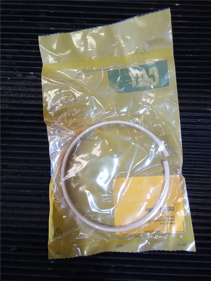 NEW SEAL RING image 1