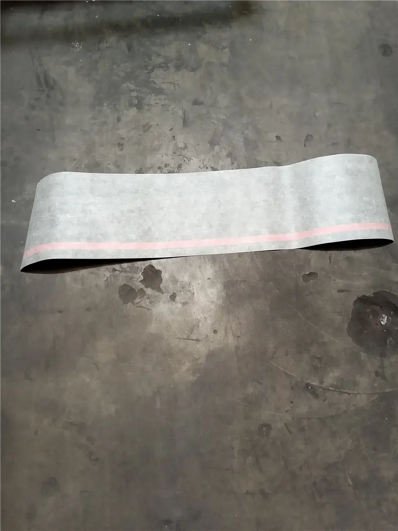 NEW STRIPE FILM image 1