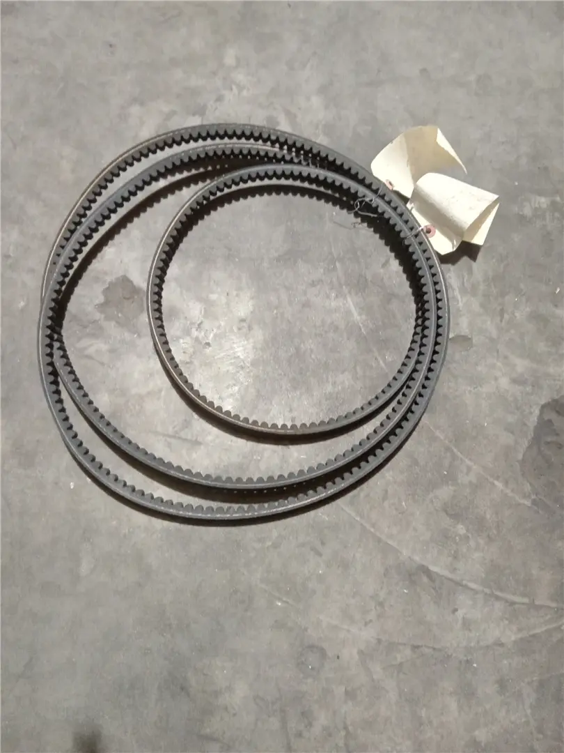 NEW BELT image 1