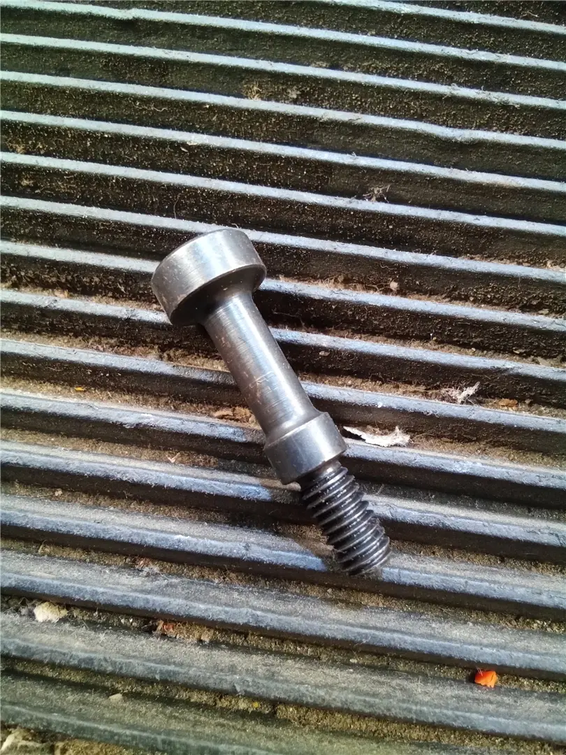 NEW BOLT image 1