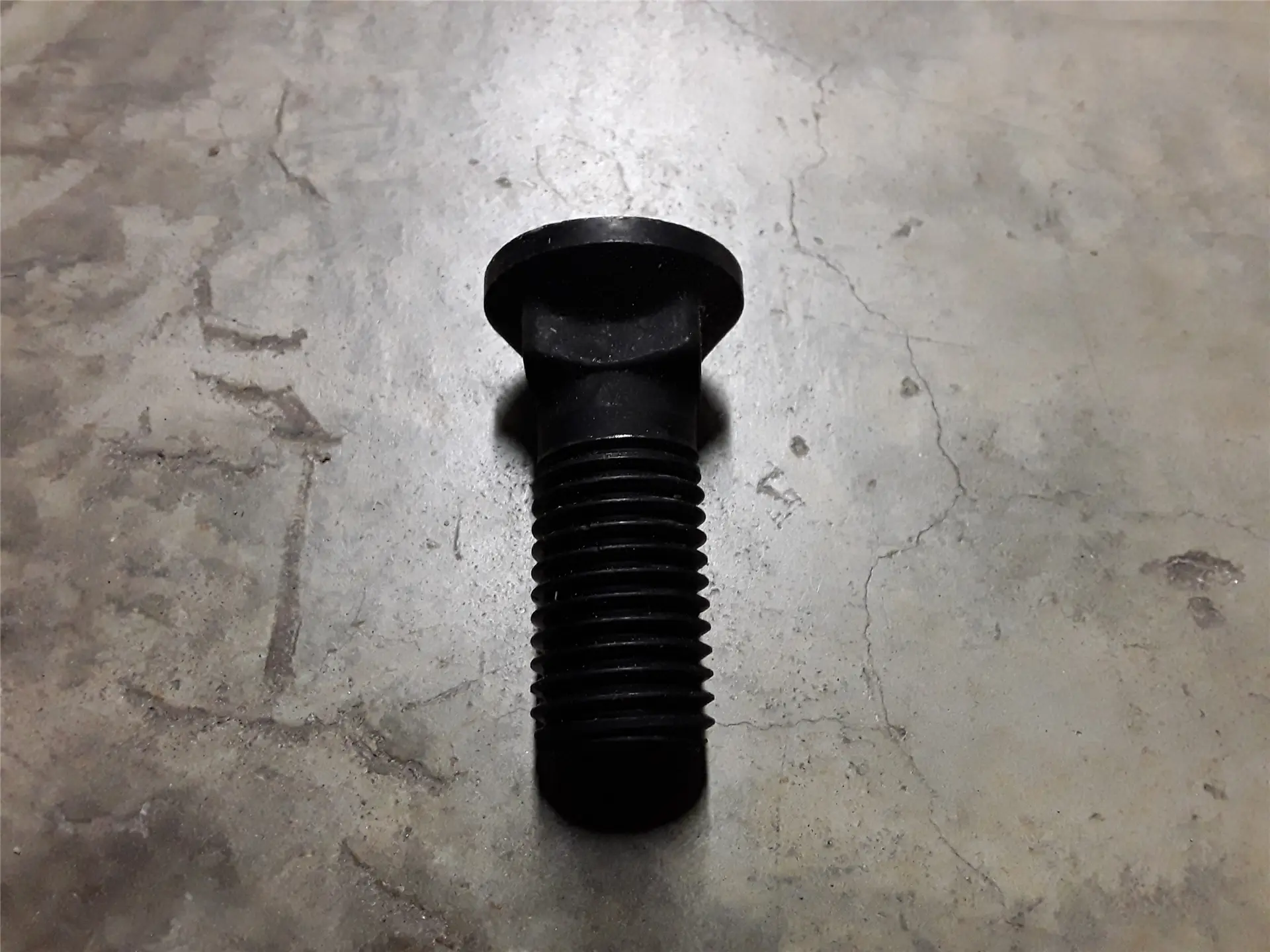 NEW BOLT image 1