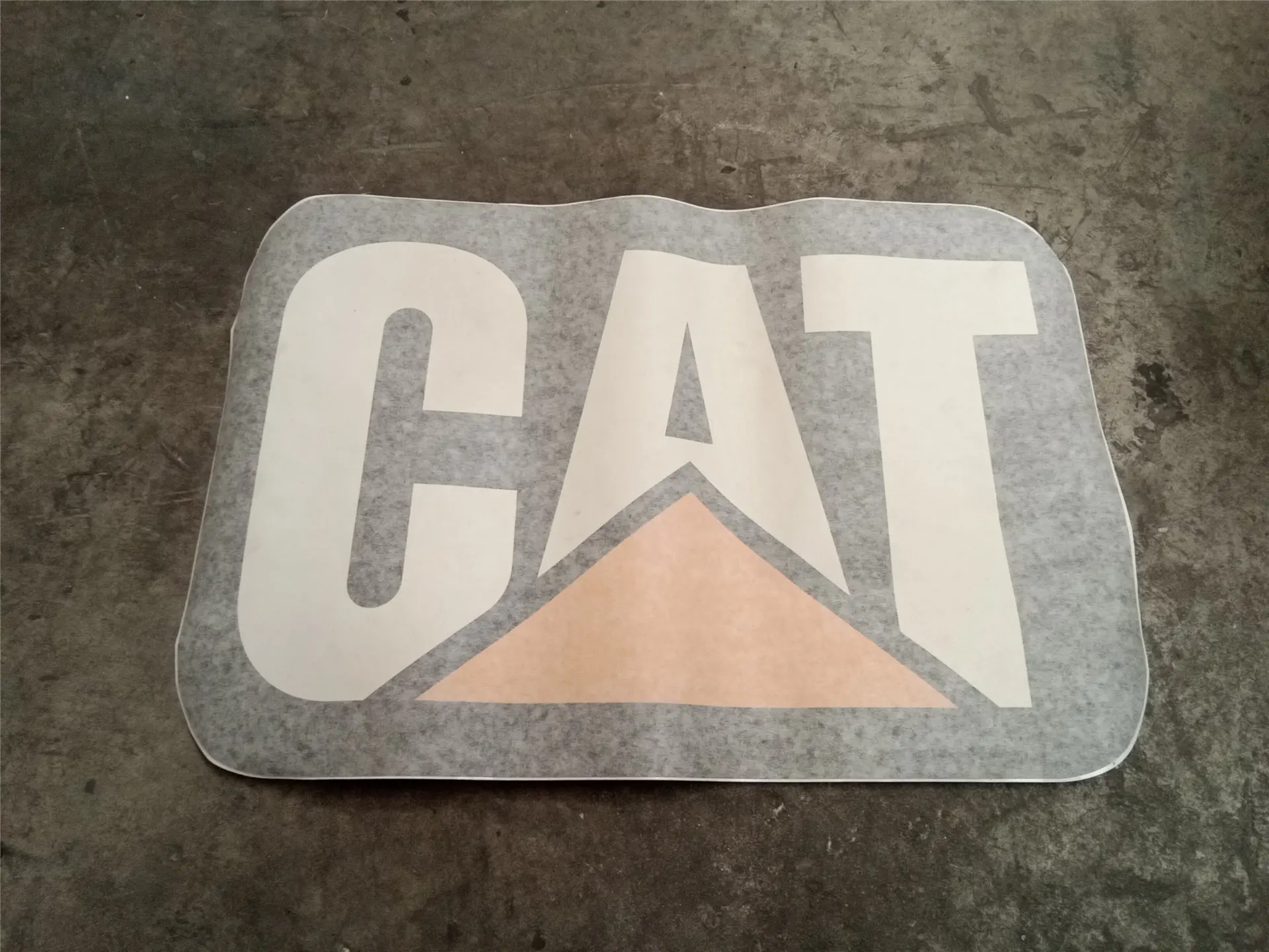 NEW FILM CAT image 1