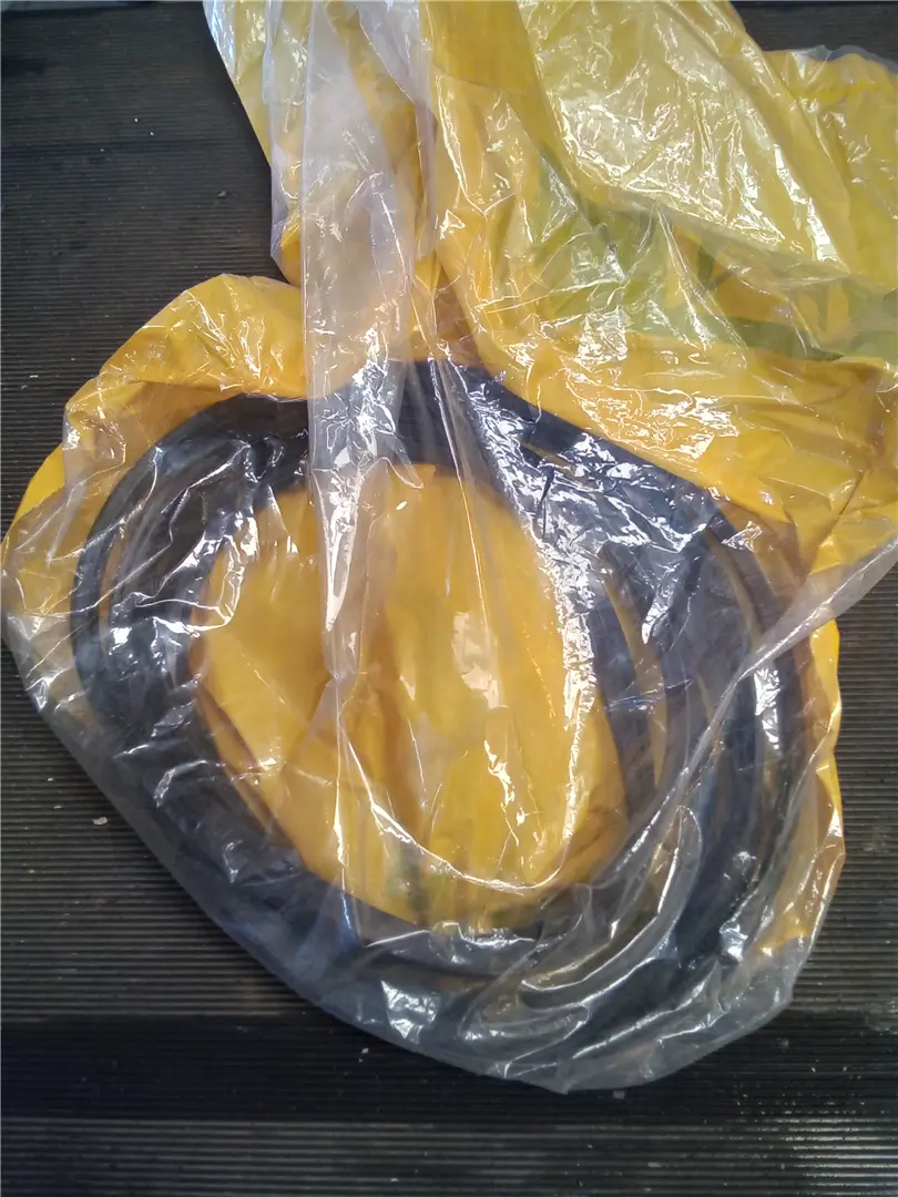 NEW SEAL-DUST image 1