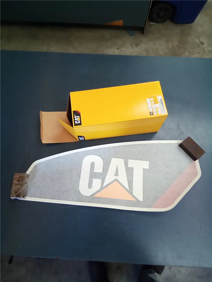 NEW FILM-CAT STR image 1
