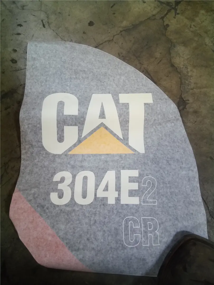 NEW CAT FILM image 1