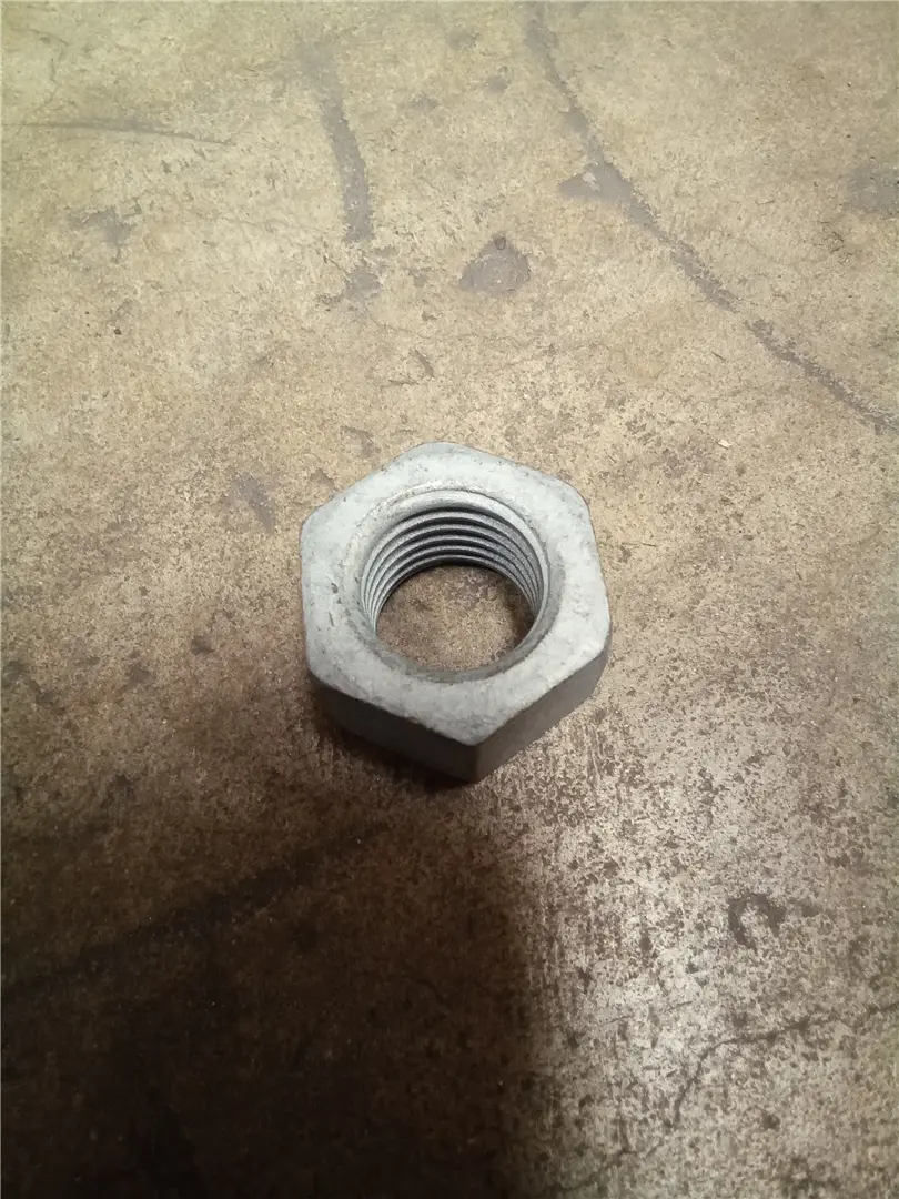 NEW NUT image 1