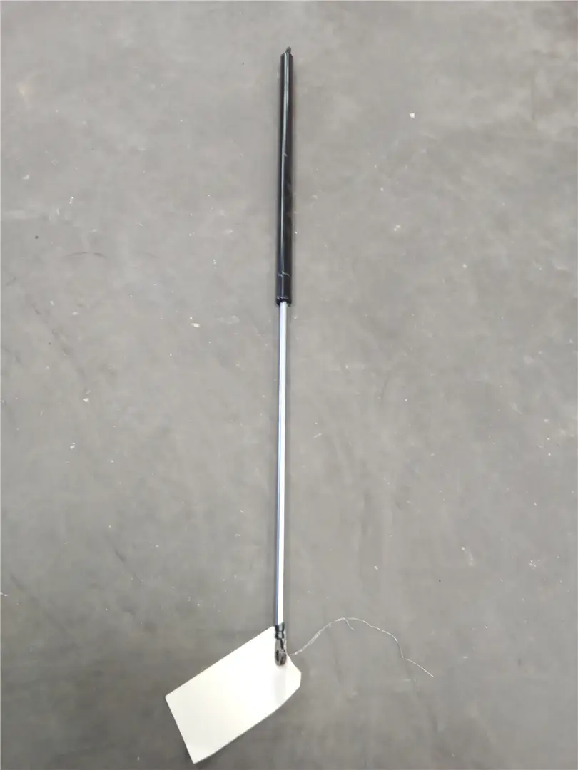 NEW GAS SPRING image 1