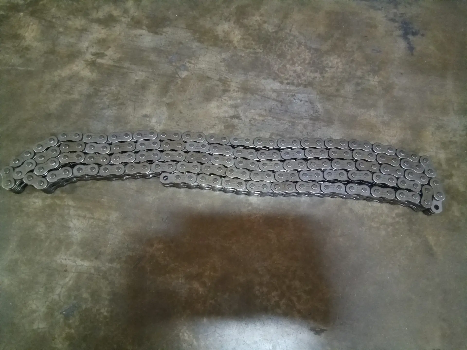 NEW LEAFCHAIN 10FT image 1
