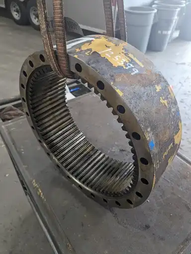 Gear-ring indicator image 2