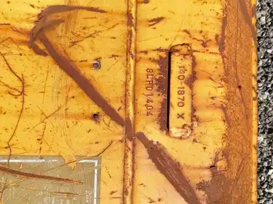 BLADE/D4 indicator image 4