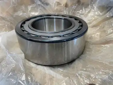 Bearg Roller indicator image 2